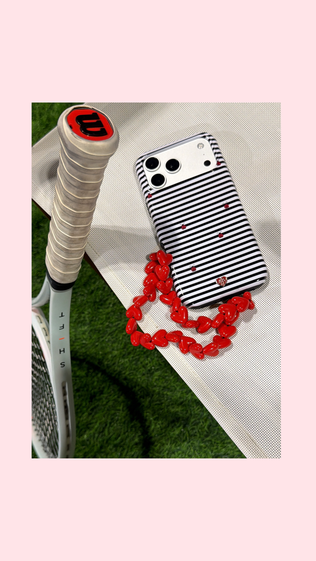 LADY BUG CASE