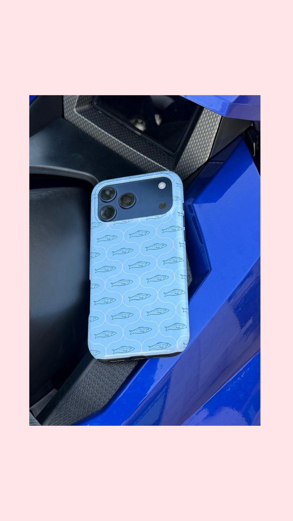 FISH CASE