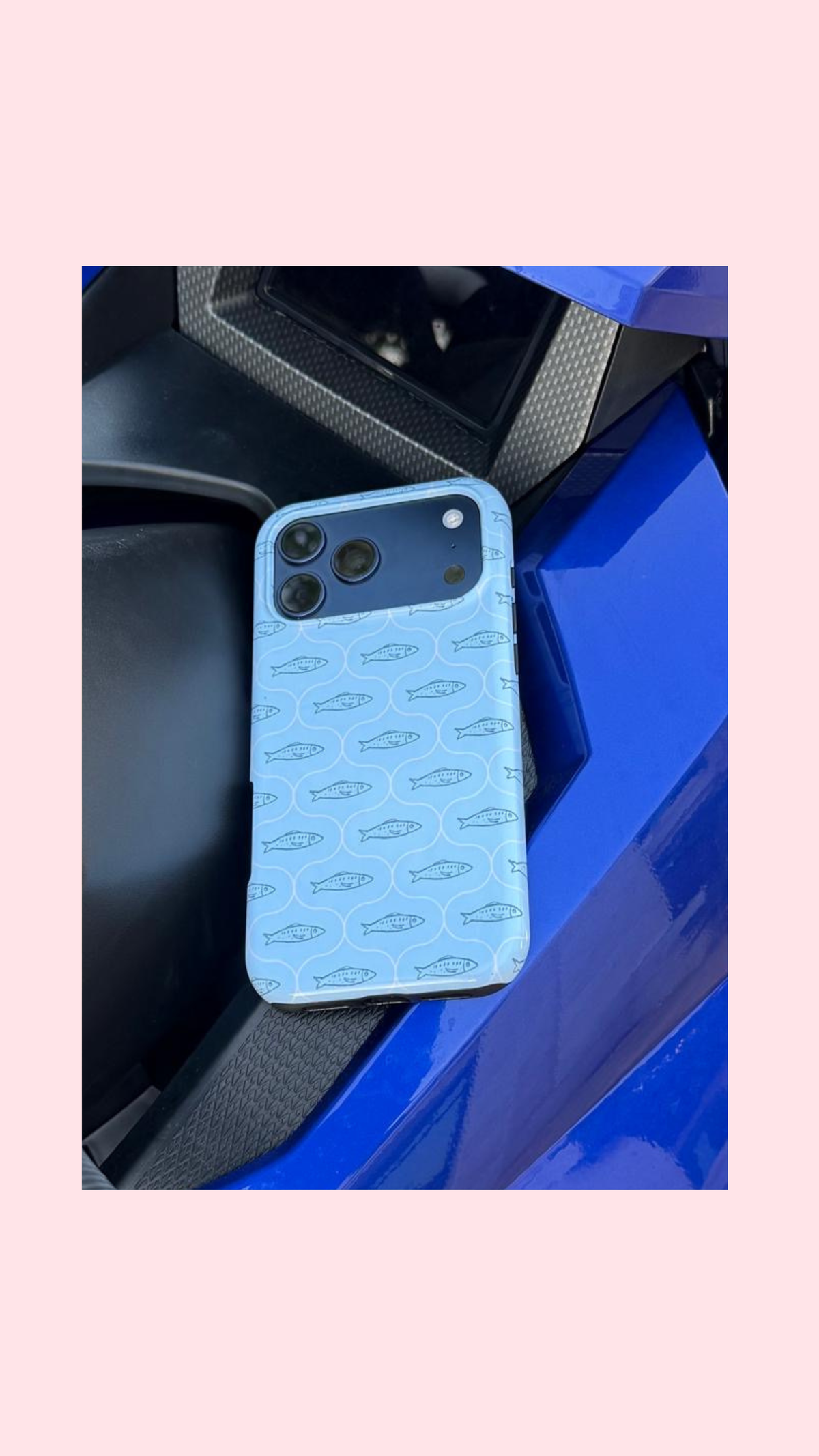 FISH CASE