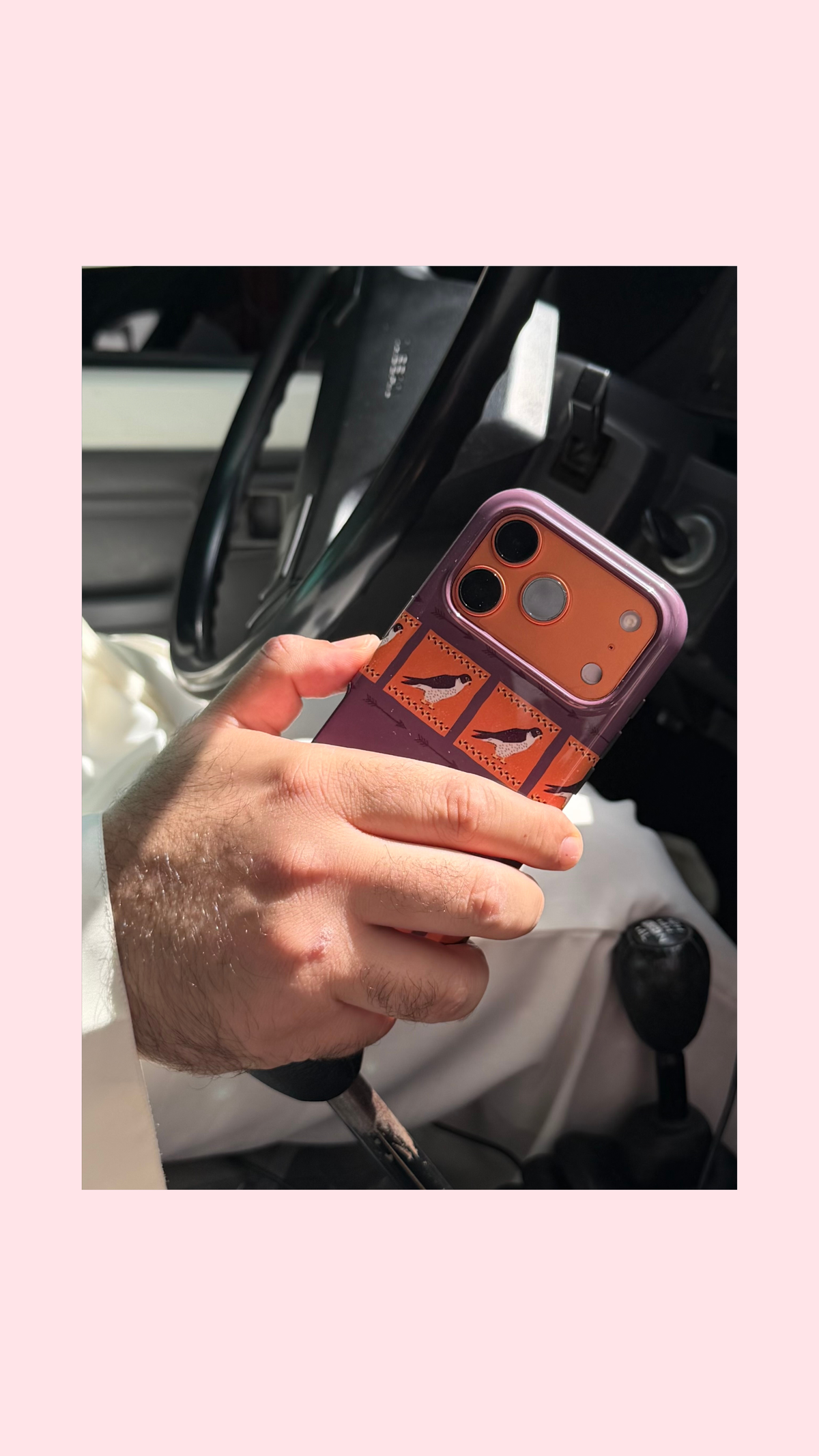 FALCON CASE