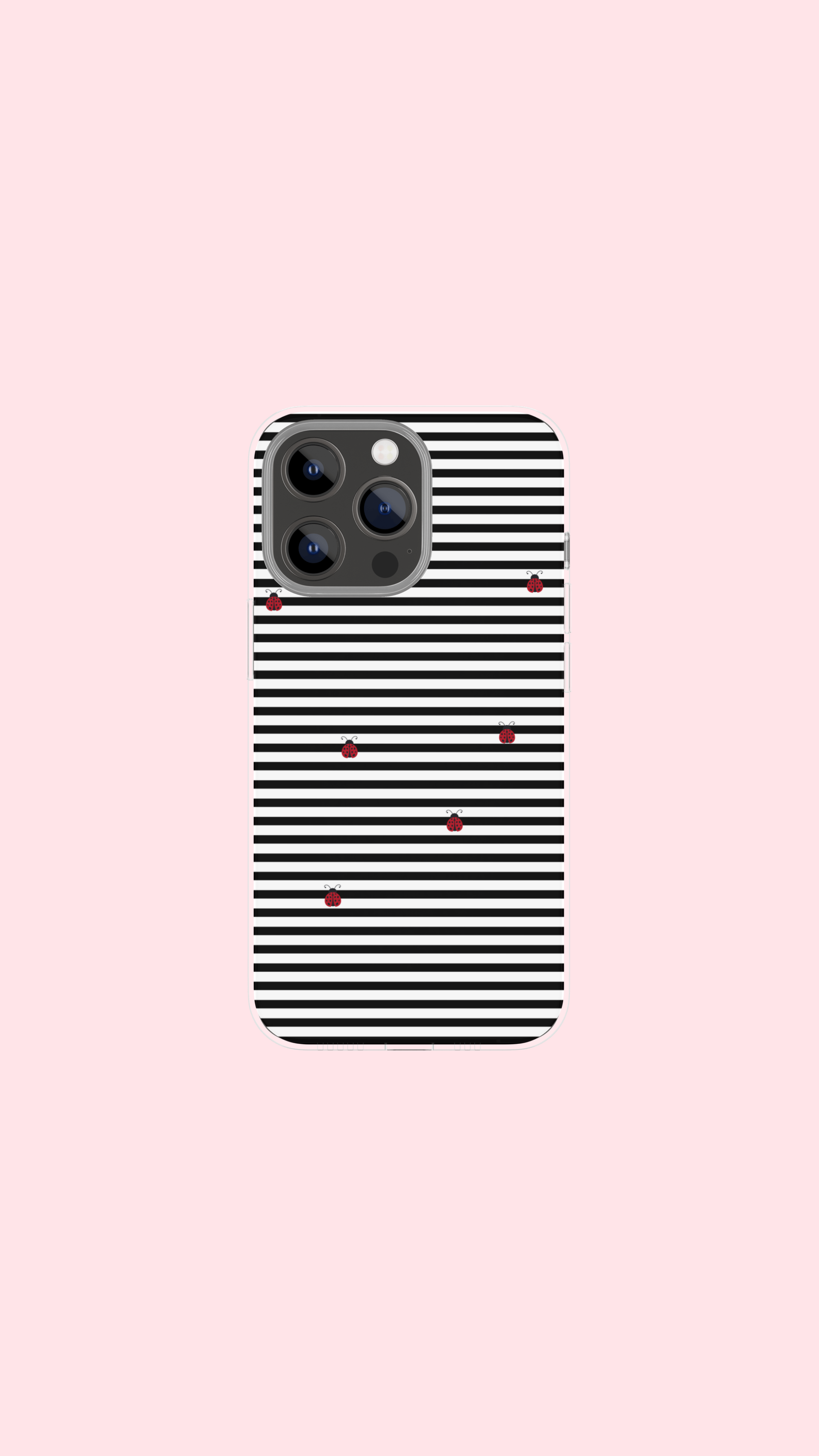 LADY BUG CASE