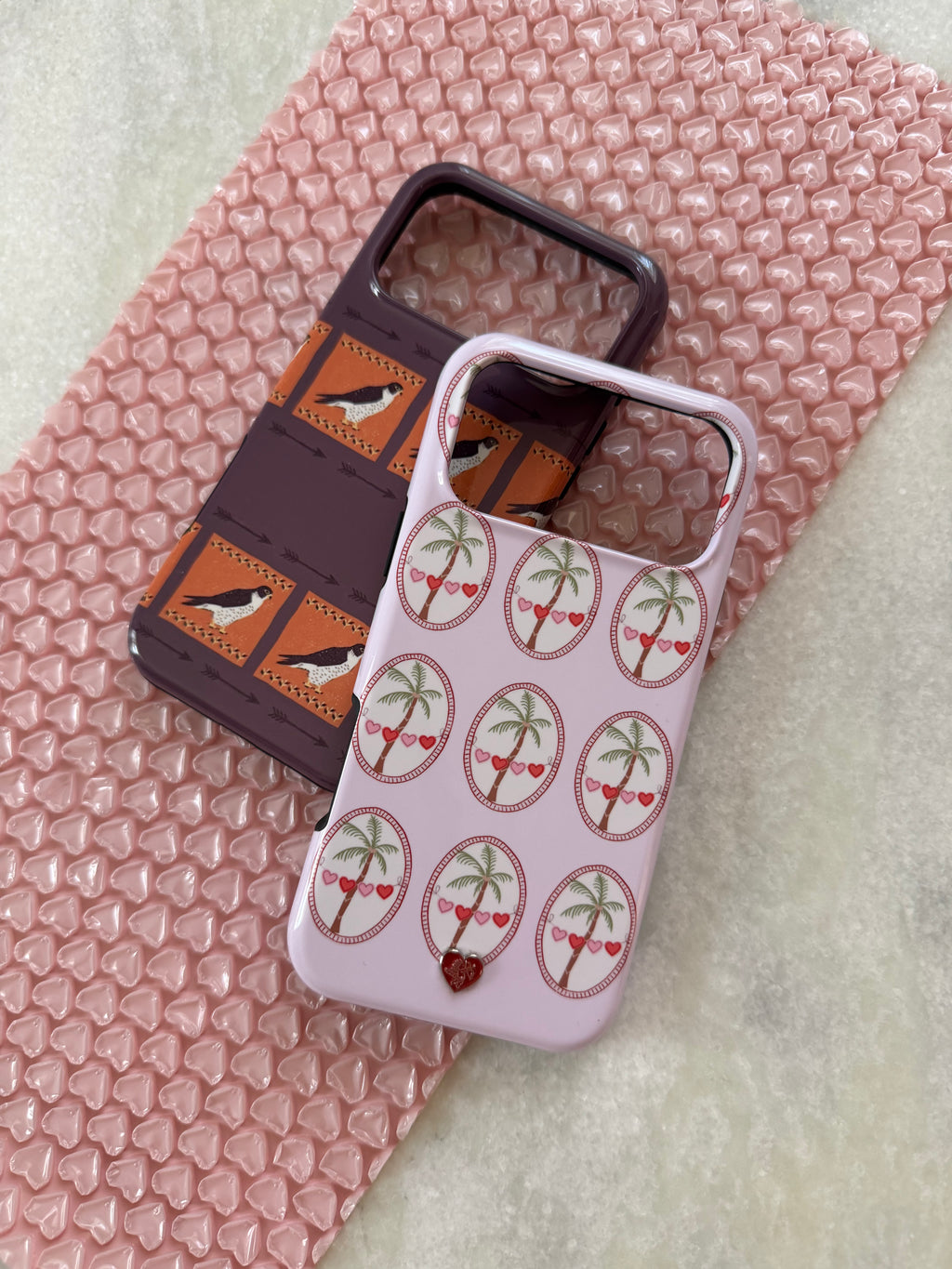 FALCON CASE