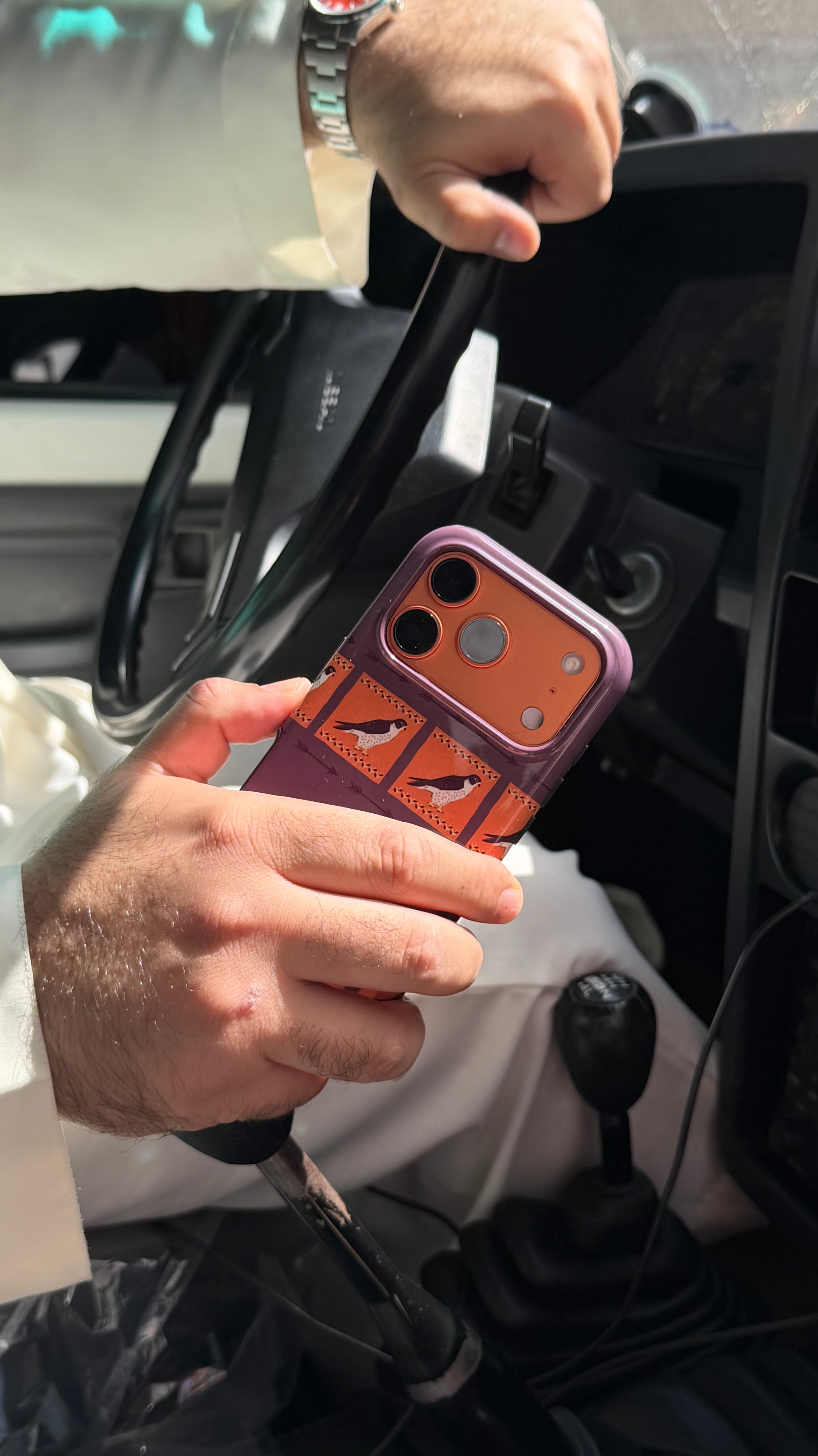 FALCON CASE