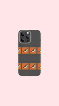 FALCON CASE